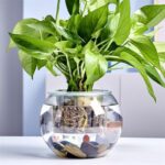 Wholesale Glass Vase HP-003 - Image 3